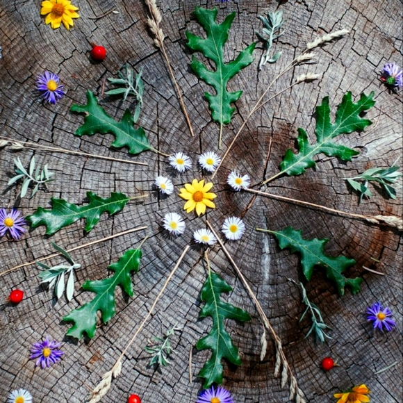 Gently Used & Vintage Items - Picture 1 of 1